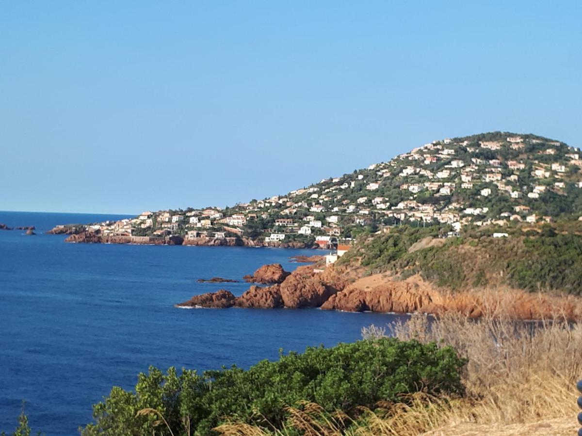 Frejus Plage T2, Piscine, Parking, Plages A 200M Екстер'єр фото