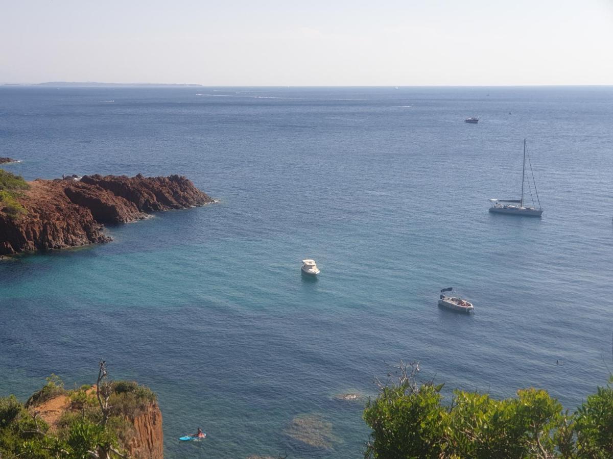 Frejus Plage T2, Piscine, Parking, Plages A 200M Екстер'єр фото